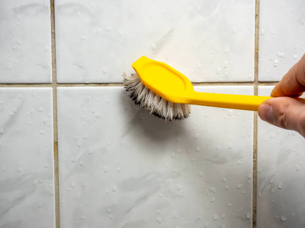 Best Residential Mold Removal  in Jerome, ID