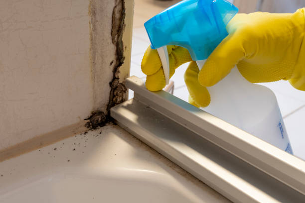 Best Mold Cleaning Services  in Jerome, ID